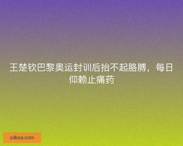 王楚钦巴黎奥运封训后抬不起胳膊,每日仰赖止痛药 王楚钦巴黎奥运封训后抬不起胳膊,每日仰赖止痛药
